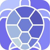 TurtleMetrics Logo